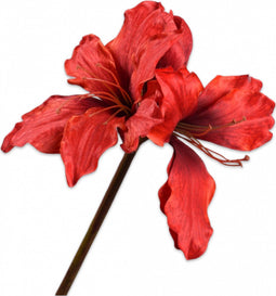 Silk-ka Kunstbloem-Zijden Bloem-Kunsttak Amaryllis Steel Rood 69 cm
