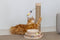 Designed by Lotte Inez - Krabpaal - Multifunctioneel met speeltoren - Bruin - 38x24,5x47,5 cm