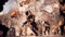 Electronic Arts Battlefield 6 - Xbox Series S|X - Shooter - Pre-orderbonus Tombstone Pack