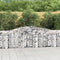 vidaXL - Schanskorven - 4 - st - gewelfd - 400x30x80/100 - cm - ijzer