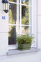 Elho Greenville Trough Long 50 - Plantenbak voor Buiten - 100% Gerecycled Plastic - L49.0 x B19.8 x H17.9 cm - Blad groen