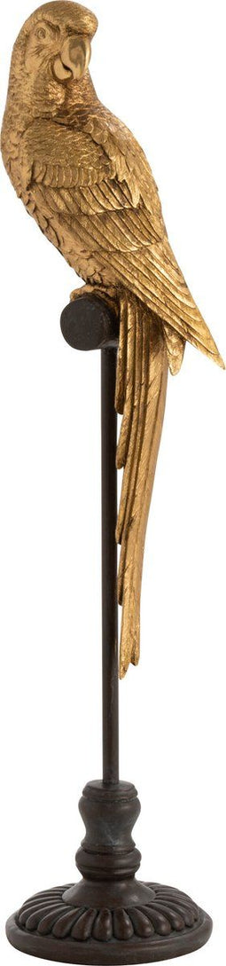 J-Line figuur Papegaai Stok - polyresin - goud/bruin - medum