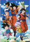 EDUCA - puzzel - 2 x 500 stuks - Dragon Ball
