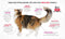 Brit Care Cat Grainfree Adult Large Cats Fresh Duck & Chicken 2 kg - Kat