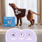 Easypets Dog Diapers Male - Hondenluiers Reu - L/XL - 100 stuks - Voordeelverpakking