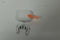 Apple AirPods 4 - TWS - ANC - Wit