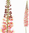 PTMD Eremurus Stengel Kunsttak - 119x12x117 cm - Kunststof - Paars