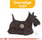Royal Canin Dermacomfort Mini - Hondenvoer - 3 kg