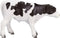 Mojo Farmland Holstein Kalf Staand - 387061