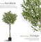 tectake® Kunstmatige Olijfboom Oleand - Kunstplant - Realistische Bladeren en Olijven - Hoogte: 150 cm