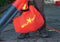 WOLF-Garten Elektrische bladblazer LBV 2600 E - motor 2600 Watt - opvangzak 50 liter - reductie ratio 10:1