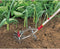 Wolf Multi-Star combisysteem 71AAA006650 DA-S Tuinfrees 15 cm