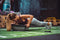 Women's Health Balance Ball