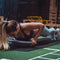 Women's Health Balance Board