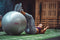 Women's Health Gym Ball - 55CM