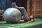 Women's Health Gym Ball 65 cm – Fitnessbal - fitnessaccessoires - Home Fitness