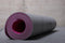 Women's Health Gym Mat - Fitnessmat – yogamat – fitnessaccessoires - Home Fitness