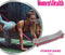 Women's Health Power Bands Heavy – weerstandsband – zwaar – fitnessaccessoires - Home Fitness