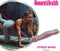 Women's Health Power Bands Medium - weerstandsband – medium - fitnessaccessoires - Home Fitness