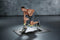 Wonder Core 2, Fitnessbank, Ab Trainer, Halterbank, Trainingsbank - 6 in 1 weerstandstraining apparaat, Full Body Fitness Rugtrainer apparaat Hometrainer voor thuis