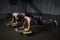 Wonder Core Genius - 10 in 1 Allround Trainingssysteem voor thuis - Full Body Fitnessapparaat - Suspension Trainers - Ab Roller Taille Twister Handknijper Weerstandsband Balance Bord Krachttraining