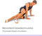 Wonder Core, Hollow Yoga Roller - 32cm - Oranje - yoga roller - massageroller - foamroller - triggerpoint roller