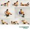 Wonder Core Smart 6-in-1 Buikspiertrainer Fitnessapparaat, Ab Training Device, Fitness Hometrainer Weerstandstrainer voor thuis voor arm, been en rug spieren - core full body trainer