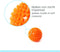 Wonder Core Spiky Massage Ball - 6 cm - Zacht - Oranje - Myofasciale bal, gymnastiekbal, Fitnessbal Egel bal voor zelfmassage van verschillende delen van het lichaam, Spierherstel na hardlopen - Massageaccessoires