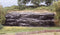 Woodland Scenics WC1247 Universeel Gipsmal Kleine rotswand
