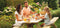 Woodvision - Picknicktafel Easy - Vurenhout