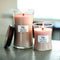 WoodWick Hourglass Large Geurkaars - Vanilla & Sea Salt