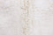 Woolable - Wollen Vloerkleed Tundra - Sheep White - 170 x 240 cm