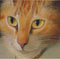 Woonexpress - Wandkleed Kat Multi - Velvet Bruin - 110x83x0cm (hxbxd)