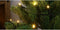 Woox R5170 Smart 40 meter LED Kerst licht slang - No Hub required