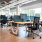 Workliving Zuidas Mesh met hoofdsteun - Bureaustoel Ergonomisch Design (N)EN 1335