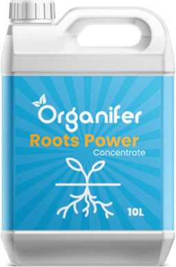 Wortelstimulator (10L) Roots Power Concentraat - Stekmiddel - Betere en Snellere Wortelontwikkeling - Universeel - o.a. Voor Kweken en Stekken - Verplanten - Ontwikkelfase - Vergroot Voedingsstoffen Opname en Resultaat - Organifer