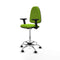 Piqueras y Crespo B2D05RF - Bureaustoel - Hoogteverstelbaar met armleuning - Pistache