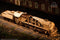 Ugears Houten Modelbouw - V-Express Stoomtrein met Tender