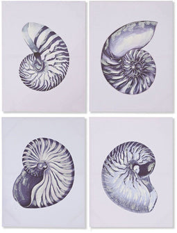 Schilderij Home ESPRIT Schelp 60 x 2,5 x 80 cm (4 Stuks)
