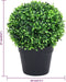 vidaXL - Kunstplanten - met - pot - 2 - st - buxus - bolvorming - 27 - cm - groen