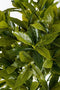 Mica Decorations Laurierboom Kunstplant - H120 x Ø40 cm - Groen