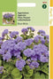 2 stuks - Hortitops - Ageratum Houstonianum Mexicanum Blue Mink