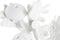 Decoratieve figuren DKD Home Decor Koraal Wit Hars Mediterrane (28,5 x 16,5 x 42,4 cm)