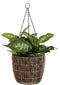 Mica Decorations Dieffenbachia Kunstplant - H40 x Ø30 cm - Terracotta pot - Groen