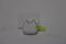 Apple AirPods 4 - TWS - ANC - Wit