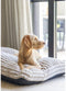 Designed by Lotte Reza - Hondenkussen - Dikke ribstof - Beige - 100x70x12 cm