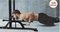 DH FitLife Multifunctionele Dip Station - Vrijstaand - Verstelbaar 10 standen - Zwart - Staal - Max. 150 kg