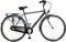AMIGO Bright - Herenfiets 28 inch - Fiets met 3 versnellingen - Antraciet