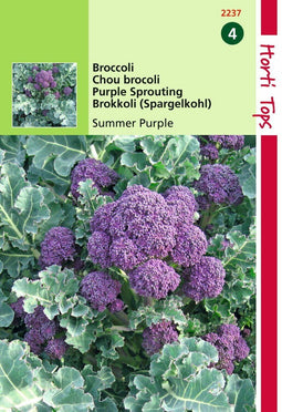 2 stuks - Hortitops - Broccoli Summer Purple