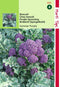 2 stuks - Hortitops - Broccoli Summer Purple